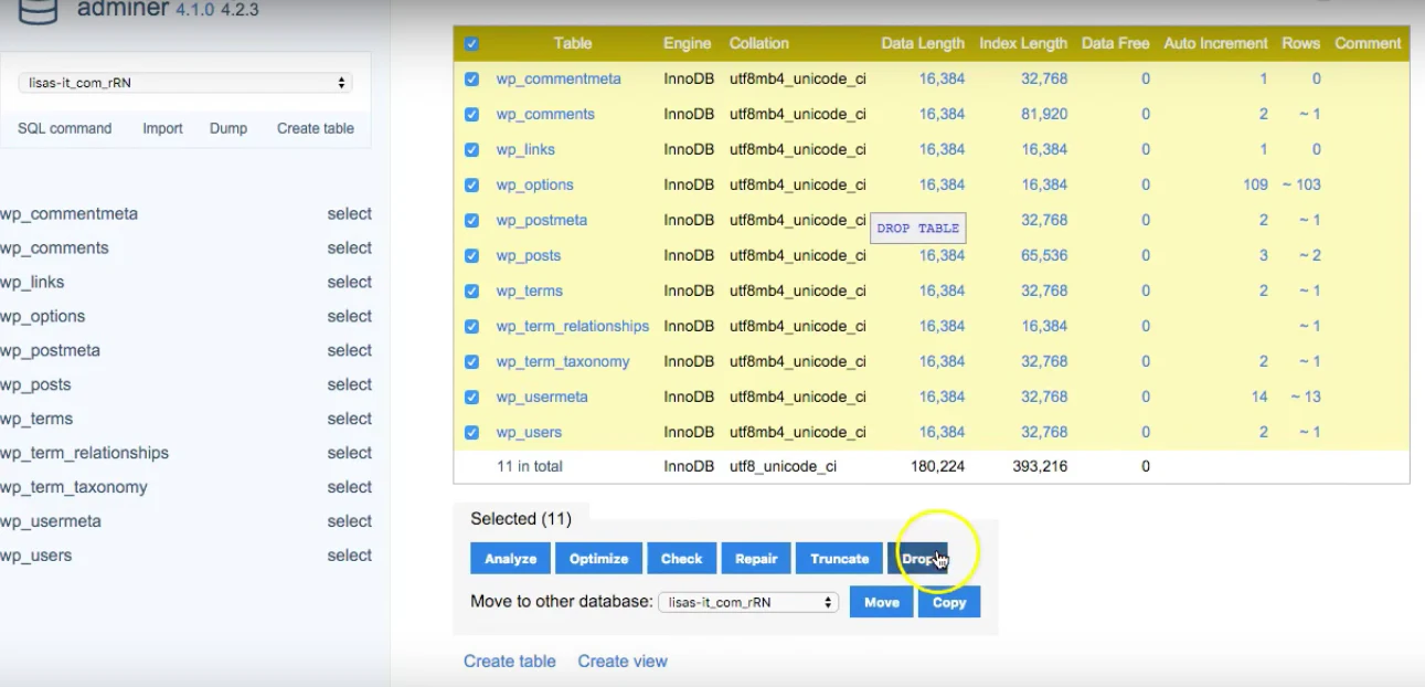  Step 4 – Drop your current database