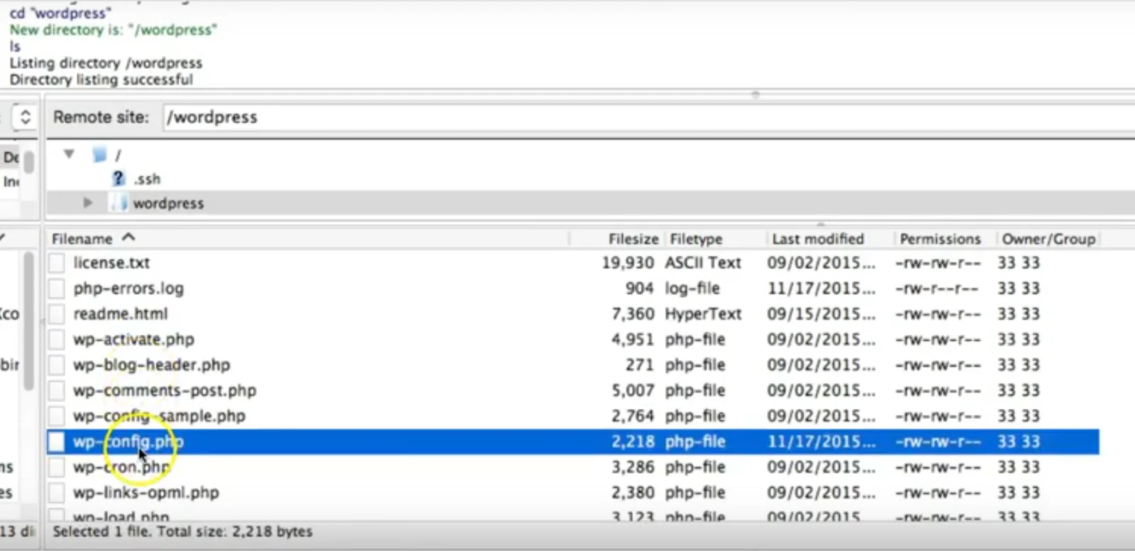 We provide your username and the link to your database in your Control Panel